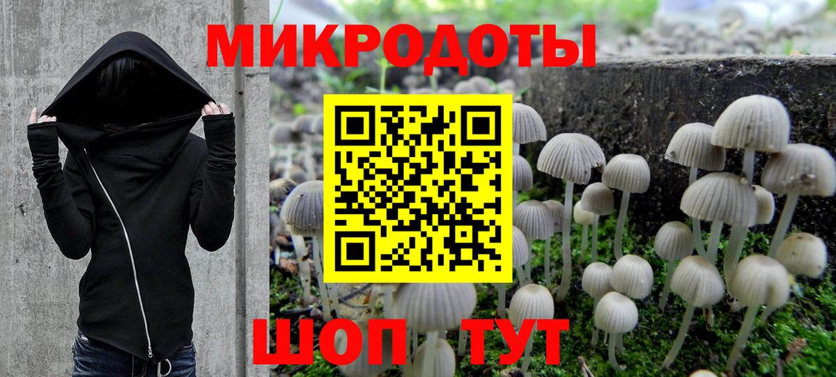 Галлюциногенные грибы Psilocybe Сызрань